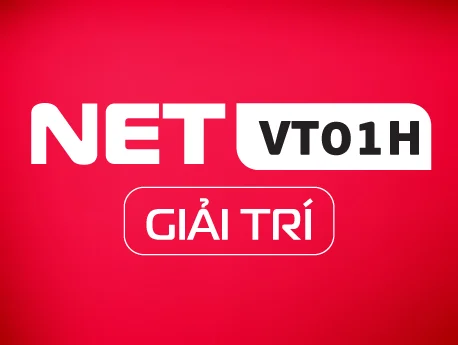 NETVT01H_GIAITRI